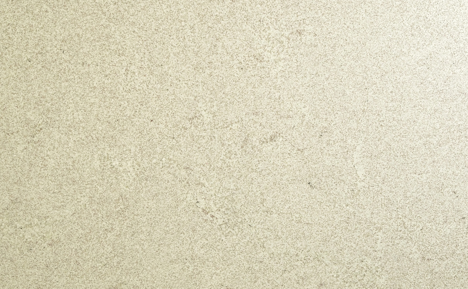 Kashmir White