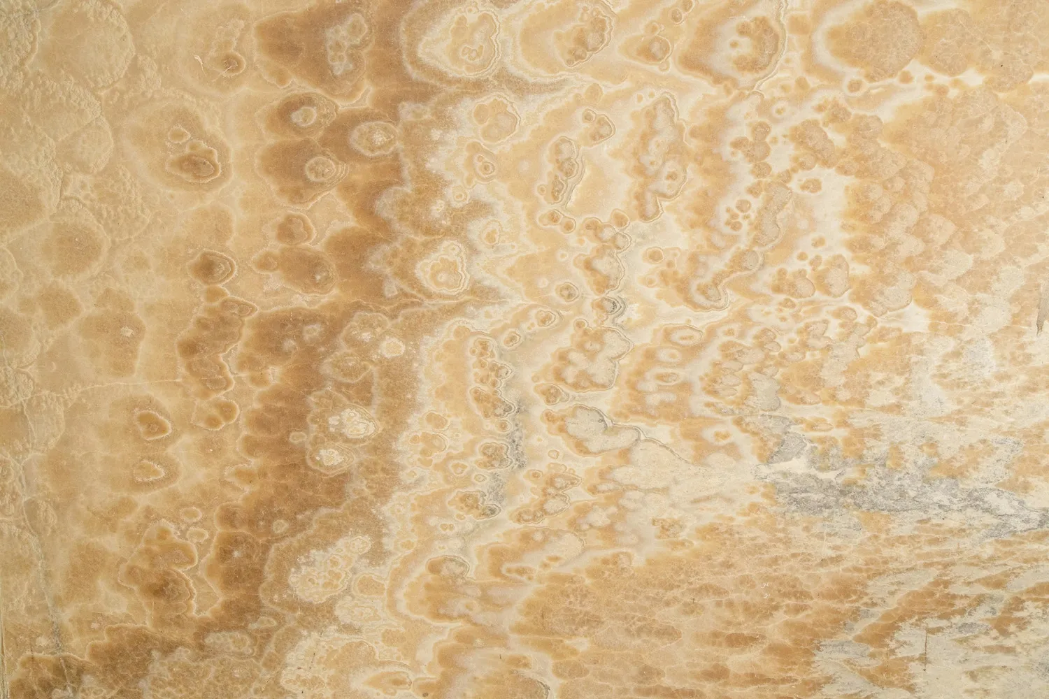 Onyx Miele