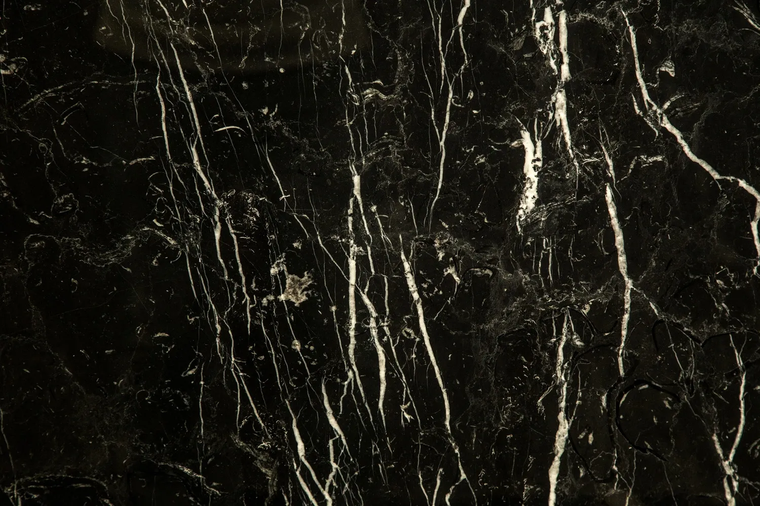 Marquina